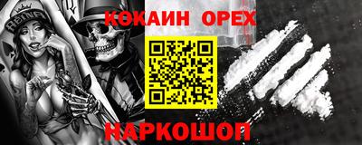 молекула духа Камышлов