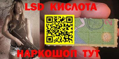 молекула духа Камышлов