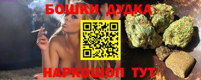 молекула духа Камышлов
