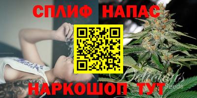 молекула духа Камышлов