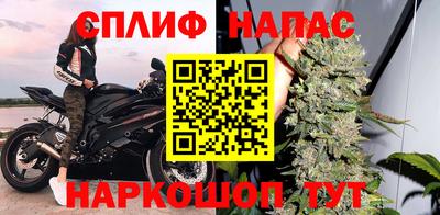 молекула духа Камышлов