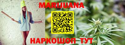 молекула духа Камышлов