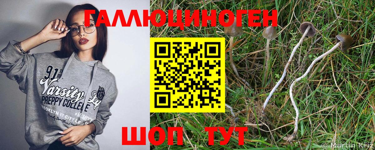 Галлюциногенные грибы GOLDEN TEACHER Кулебаки